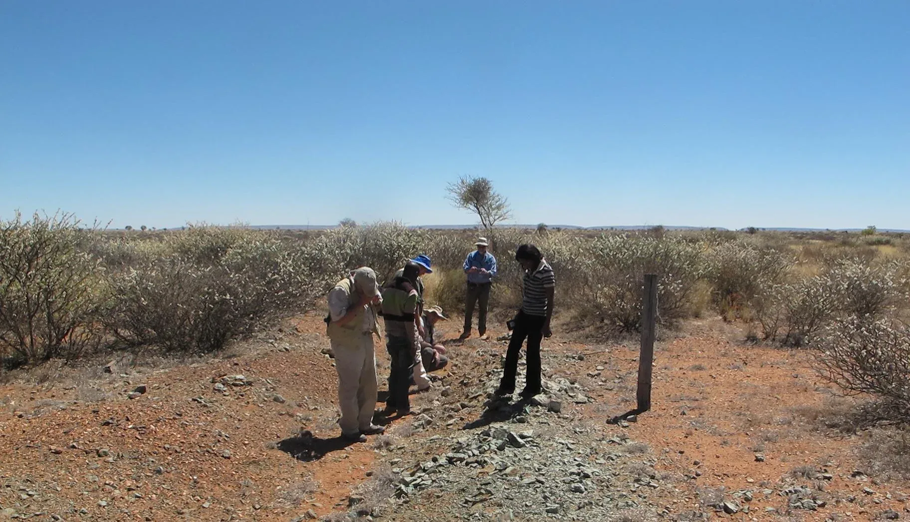 GeoMine geologists examining a mineralised outcrop during a field mapping programme