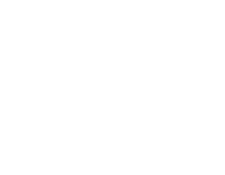 GeoMine Consulting